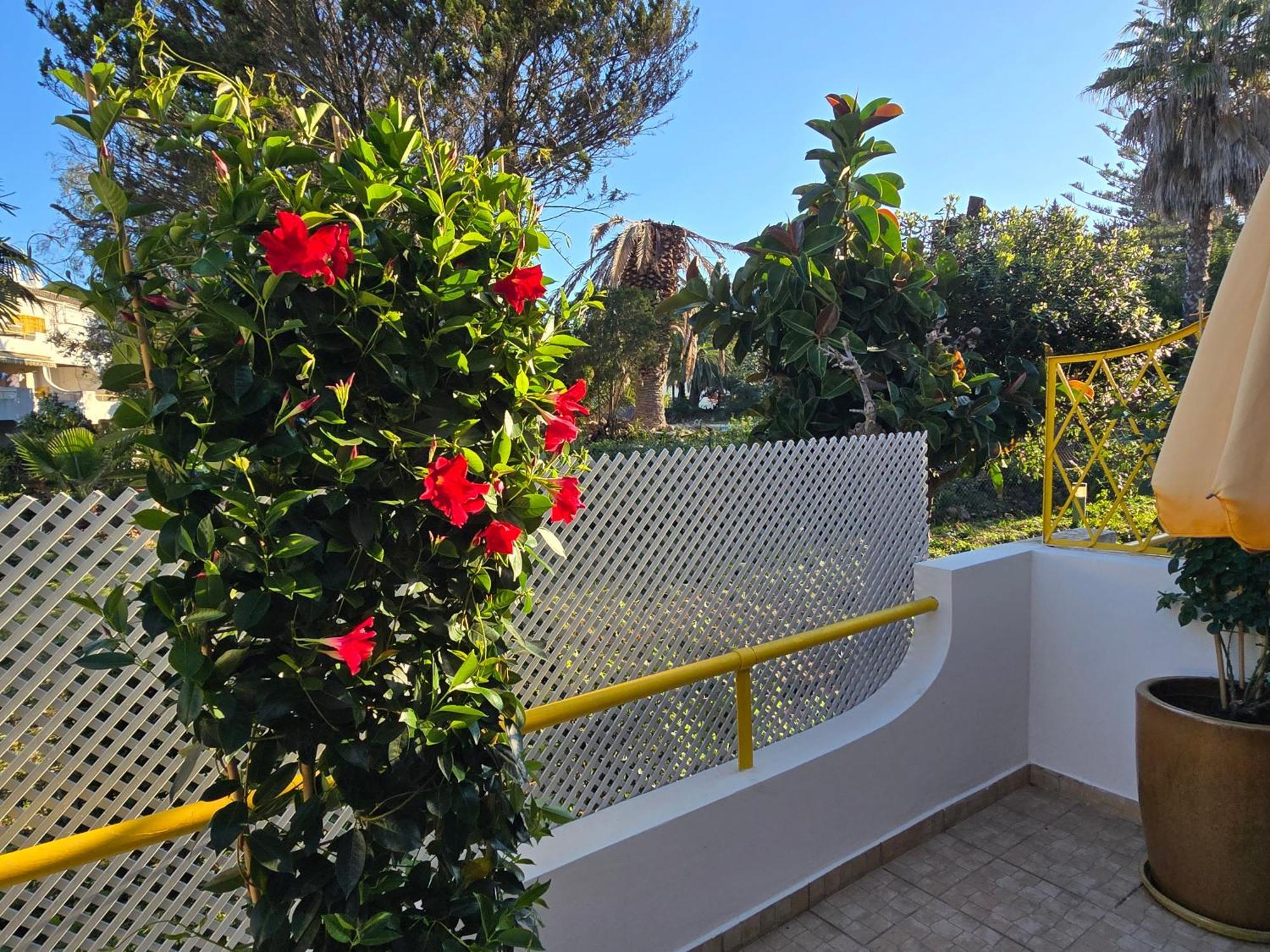 Apartamento Victoria Виламура Экстерьер фото